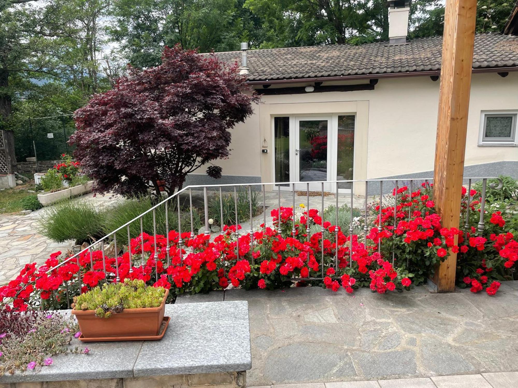 Apartmán La Casina Di Oscar Ad Ao V Combe Vda Quart 0014 E 00I6 Exteriér fotografie