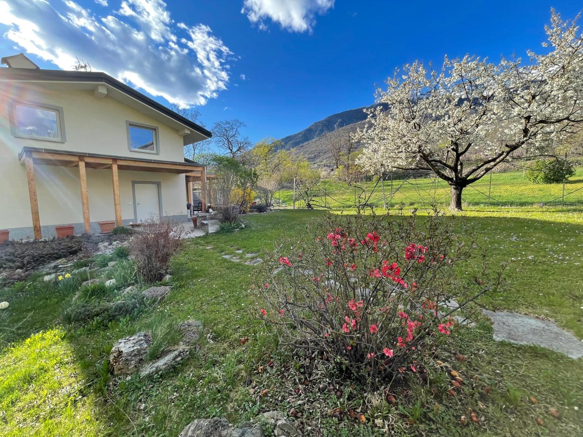 Apartmán La Casina Di Oscar Ad Ao V Combe Vda Quart 0014 E 00I6 Exteriér fotografie